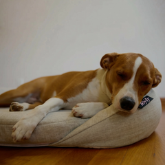 infrared-pemf-pet-bed image 10