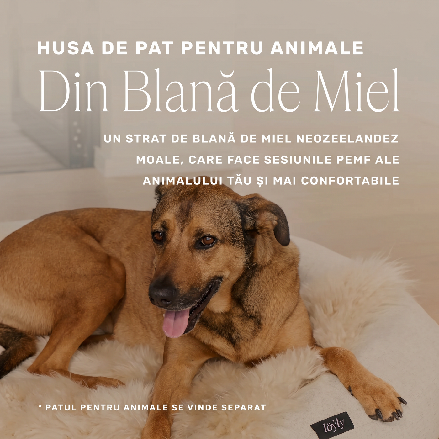 natural-sheep-shearling-pet-bed-cover image 2