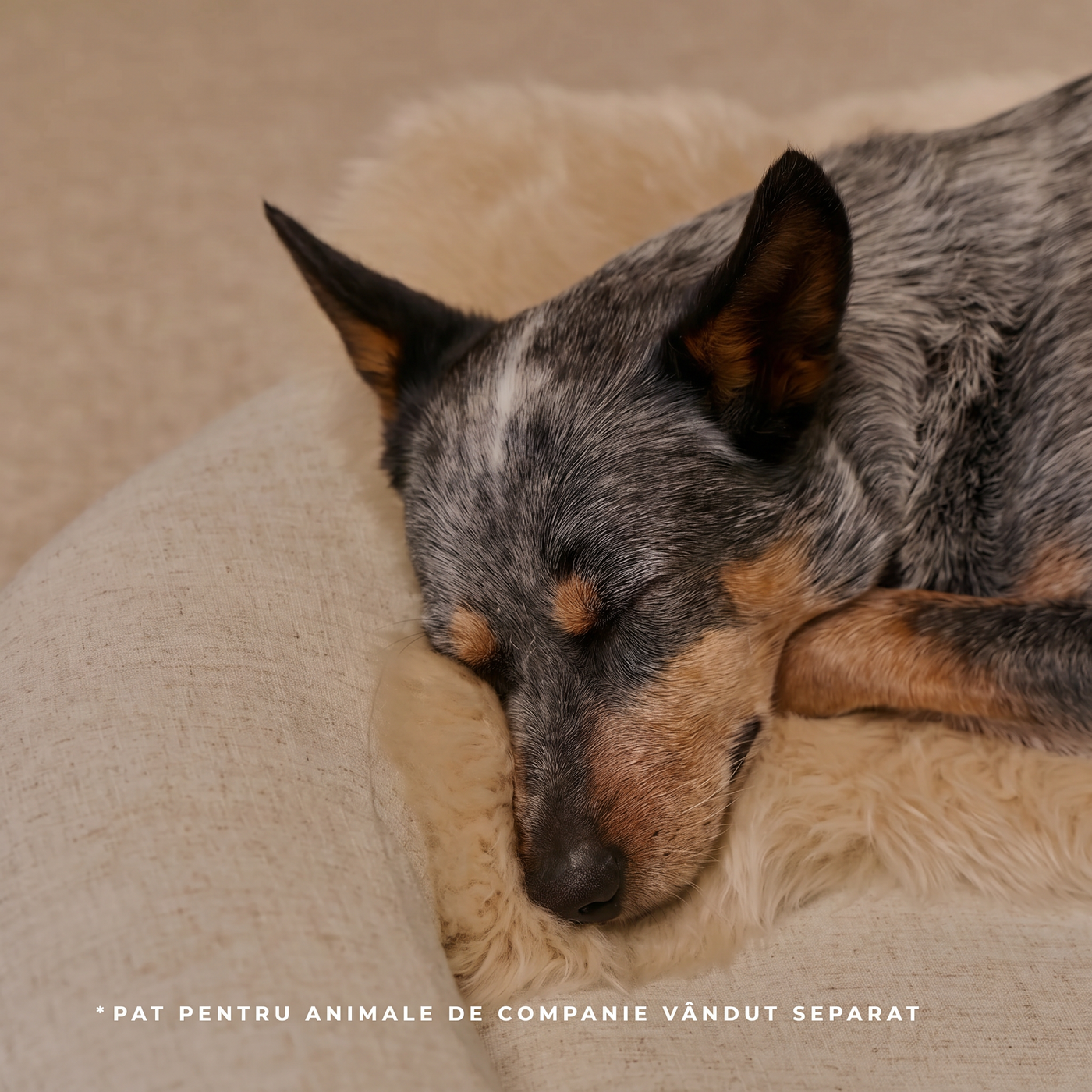natural-sheep-shearling-pet-bed-cover image 4