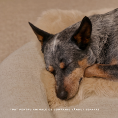 natural-sheep-shearling-pet-bed-cover image 4