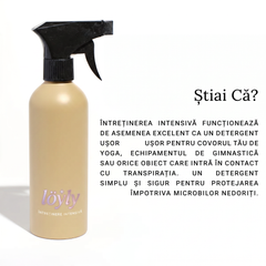 high-maintenance-cleaner image 6