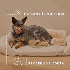 natural-sheep-shearling-pet-bed-cover image 7